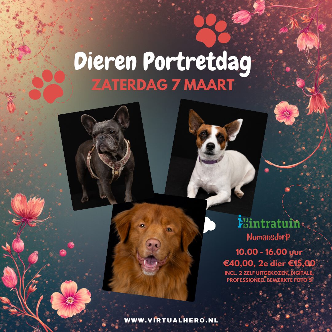 dieren portretten